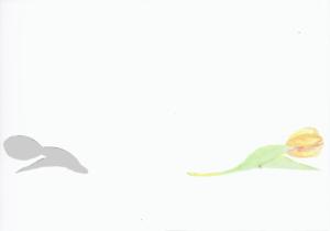 Dubbelvikt kort i akvarell - Tulpaner