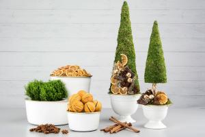 Apelsinskivor Torkade 100g - A lot