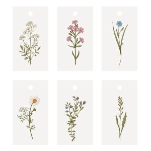 Tags i kartong, Blommor 2022- Ib Laursen, set om 5