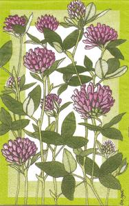 Servetter - Rödklöver (Buffé-format)