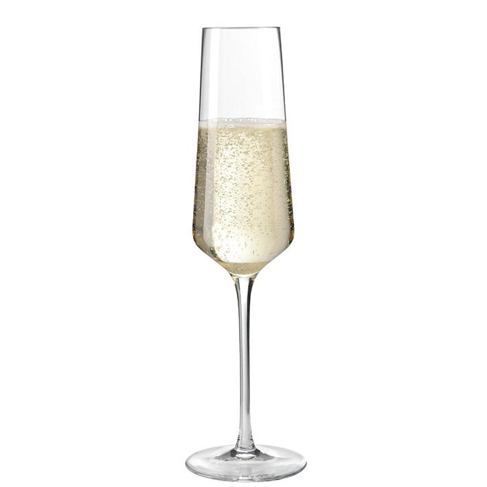 Champagneglas 280ml, Leonardo Puccini - 6 Pack