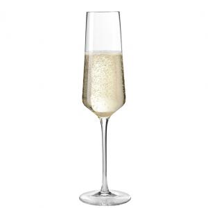 Champagneglas 280ml, Leonardo Puccini - 6 Pack
