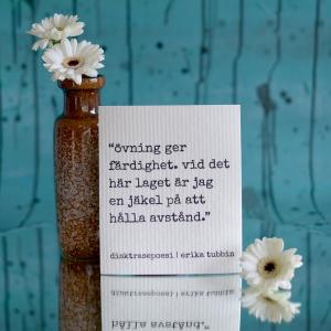 Disktrasa, ÖVNING - Erika Tubbin