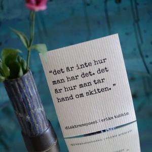 Disktrasa, INTE - Erika Tubbin