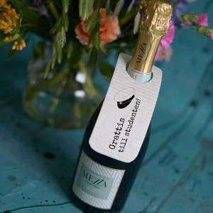 Disktrasekort, STUDENTEN - Erika Tubbin