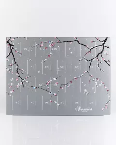 Chokladkalender Dubbel 2025, Summerbird (2 bitar/dag)