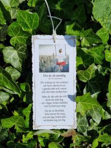 Diktkort - Du är så modig