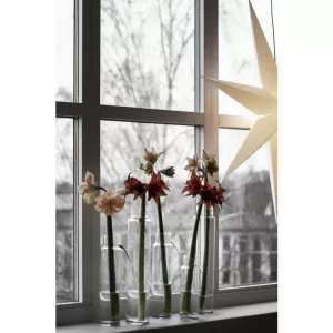 ERNST Glasvas Amaryllis d10 h34cm