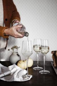 ERNST Glas för mousserande dryck (2 st)