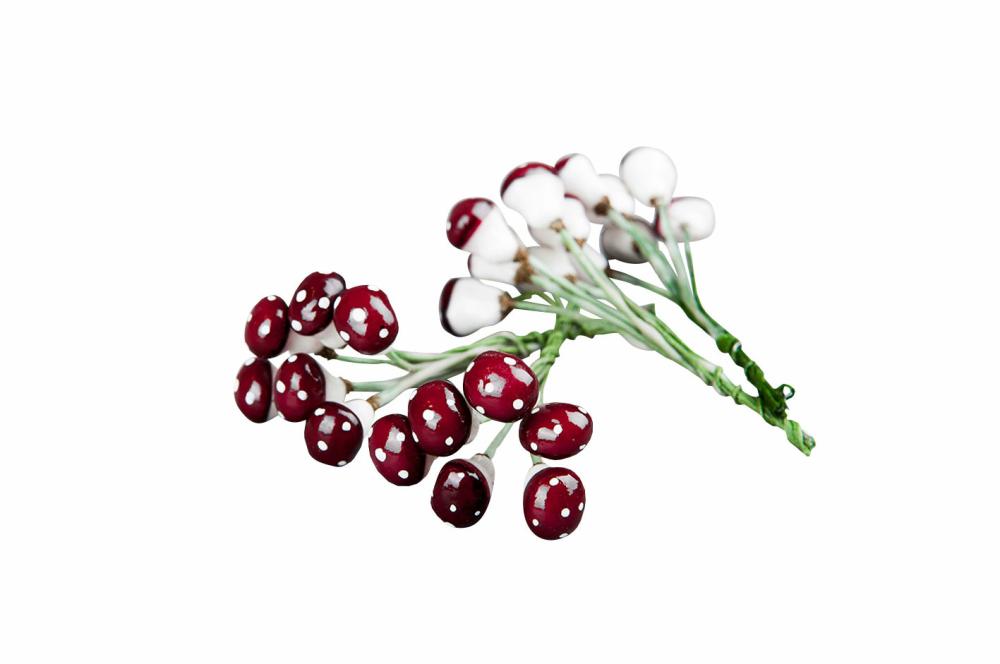 Flugsvamp, för dekoration - A lot