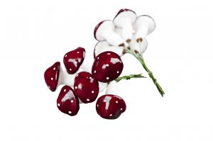 Flugsvamp/Tråd, mindre. set om 6 - A lot