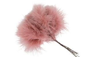 Fjädrar till riset, Gammelrosa (pudervippa)