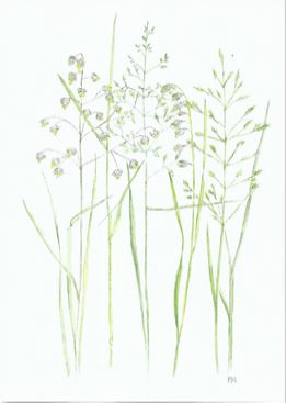 Dubbelvikt minikort i akvarell - Gräs
