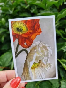 Mini-kort: Vallmo - Pictura