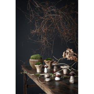 Svamp Beigemelerad - Wikholm Form