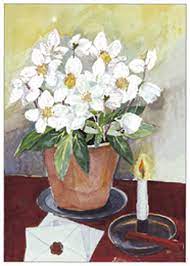 Dubbelvikt julkort i akvarell, mini - Julrosor