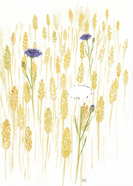 Dubbelvikt kort i akvarell - Blåklint på sädesfält