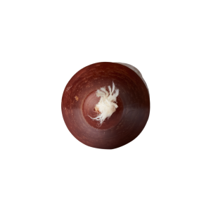 Kronljus Brunt (2,2 x 28cm) - Affari