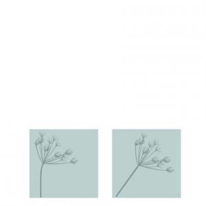 Kvist Grå Tändsticksask - Storefactory