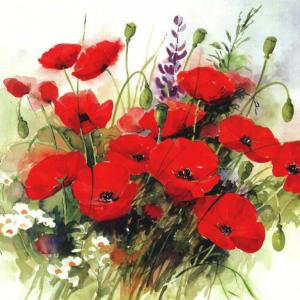 Servetter, Wild Poppies (lunch) - Ambiente