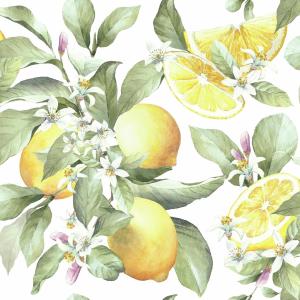 Servetter, Limoni (lunch) - Ambiente