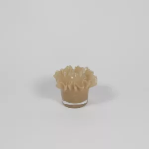 Ljuslykta Loa, Beige - Olsson & Jensen