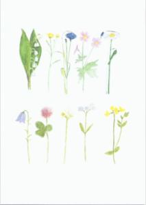 Dubbelvikt kort i akvarell - Blommor på rad