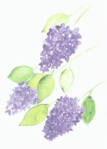 Dubbelvikt kort i akvarell - Syren