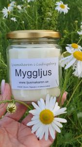 Myggljus - Ljusmakaren i Ludvigsborg