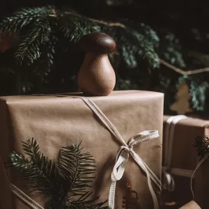 Nötknäckare Svamp I FSC märkt Trä - Strömshaga