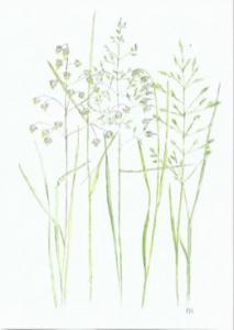 Dubbelvikt kort i akvarell - Gräs