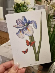 Kort med Iris - Pictura