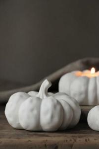 Pumpa, Stor - Majas Cottage