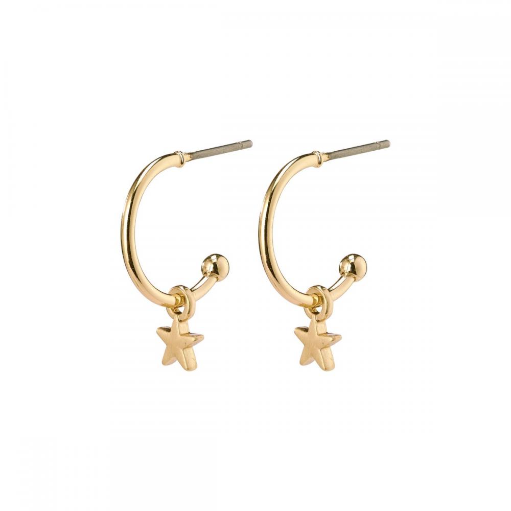 Örhänge Ava Guldpläterad m liten stjärna – Pilgrim