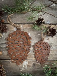 Rostig kotte - Mitt & Ditt