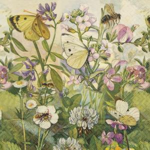 Servetter Ängsfjäril, Sköna ting