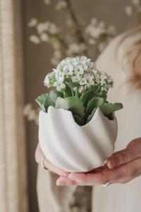 Majas Skål / Lykta (12x12x9 cm) - Majas Cottage       BERÄKNAD LEV: FEB