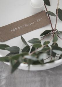 Tags ”FÖR DET ÄR DU VÄRD” - Storefactory