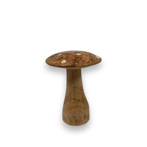 Brun svamp i trä, Medium - Miljögården