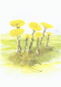 Dubbelvikt minikort i akvarell - Tussilago