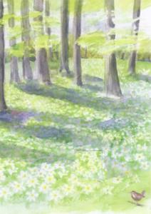 Dubbelvikt kort i akvarell - Våryra