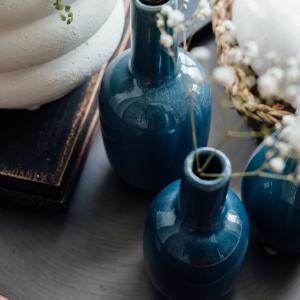 Vas Eje Medium, Miljögården