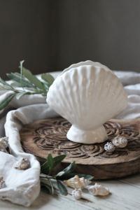 Vas Seashell, Liten - Majas Cottage