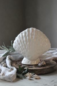 Vas Seashell, Stor - Majas Cottage