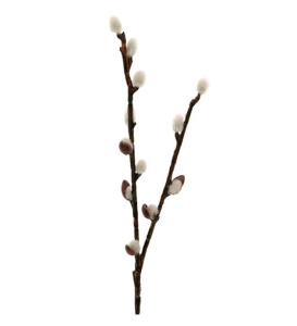 Videkvist konstgjord, ca 35 cm