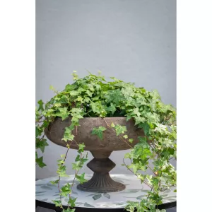 Pokal / Kruka på fot, Rostig Daga - Wikholm Form