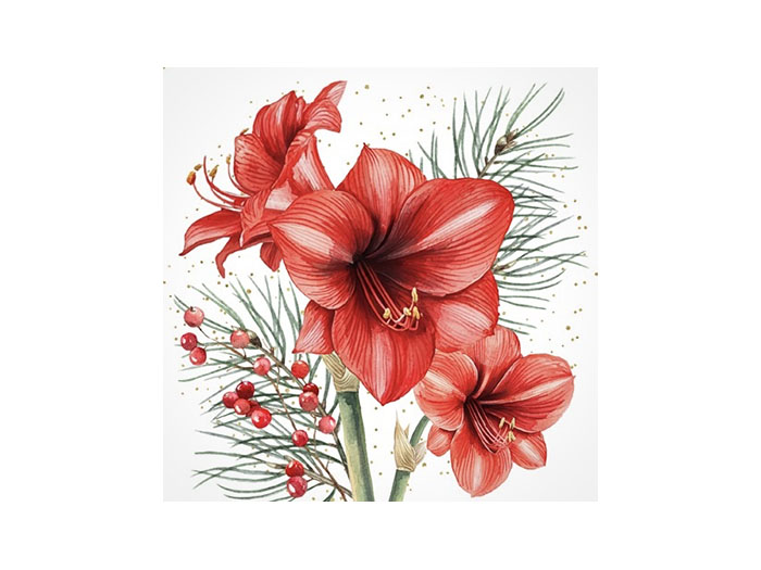 Servett Amaryllis