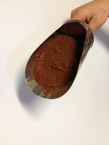 Pigment Bränd umbra 1783