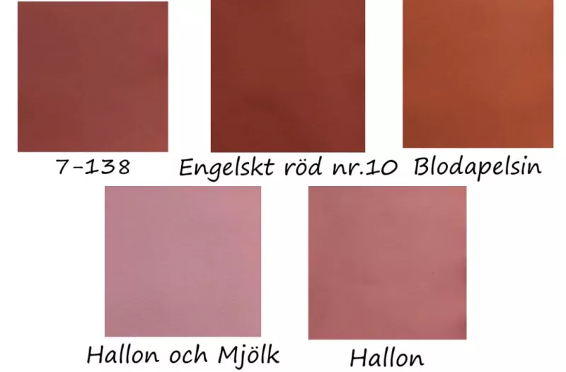 Äggoljetempera Hallon
