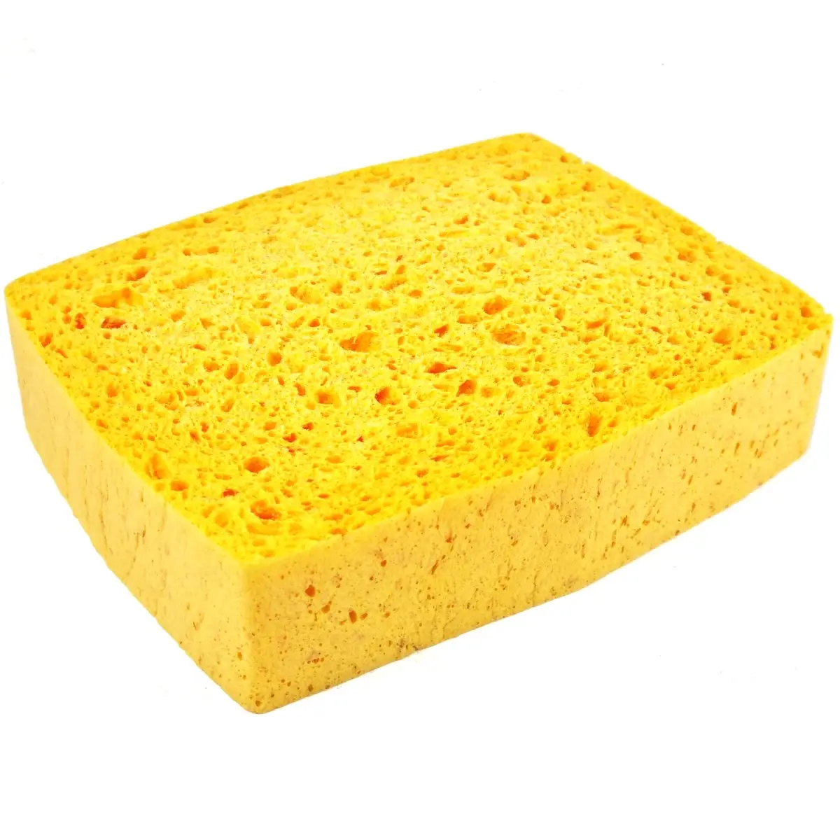 Svamp/ Cellulosa/ Tvättsvamp